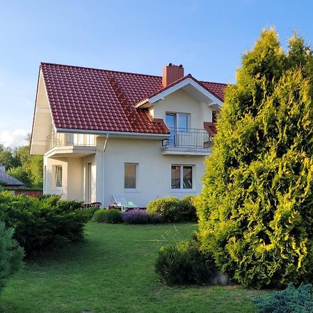 Chalet Villa Rex Druskininkai Dış mekan fotoğraf