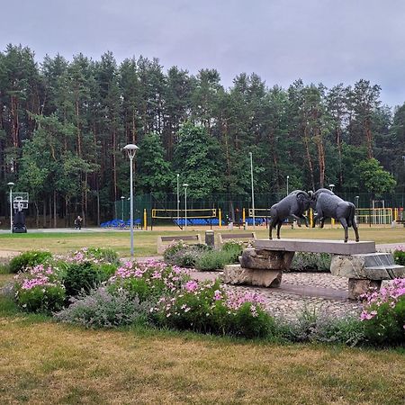 Chalet Villa Rex Druskininkai Dış mekan fotoğraf