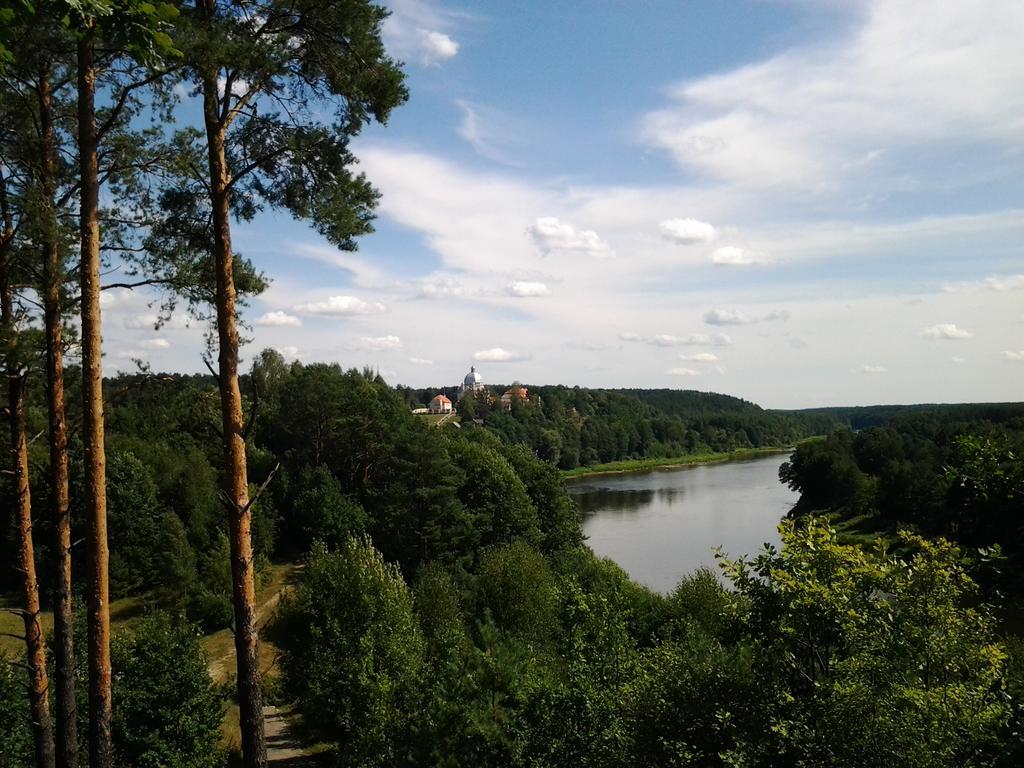 Chalet Villa Rex Druskininkai Dış mekan fotoğraf