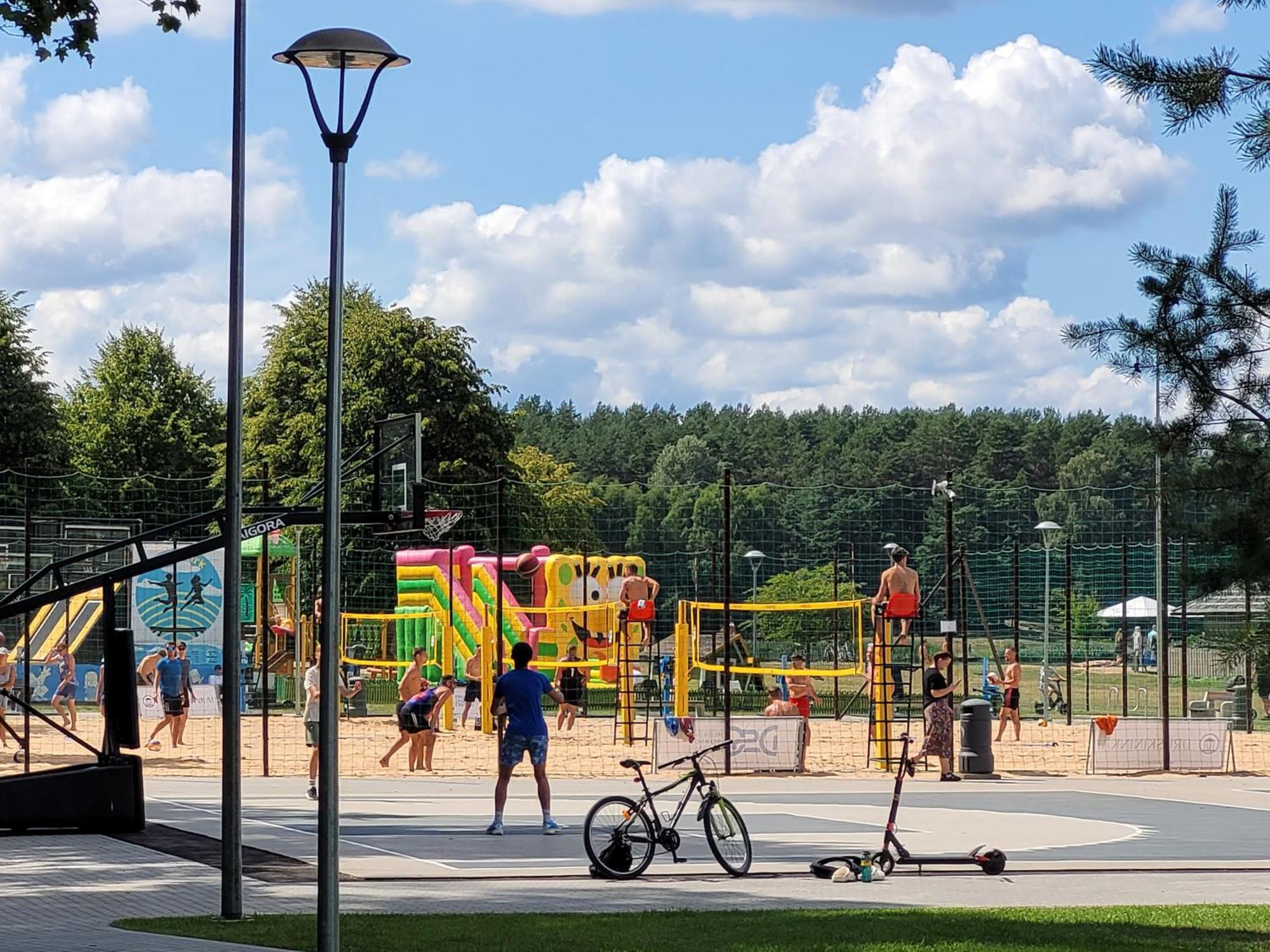 Chalet Villa Rex Druskininkai Dış mekan fotoğraf
