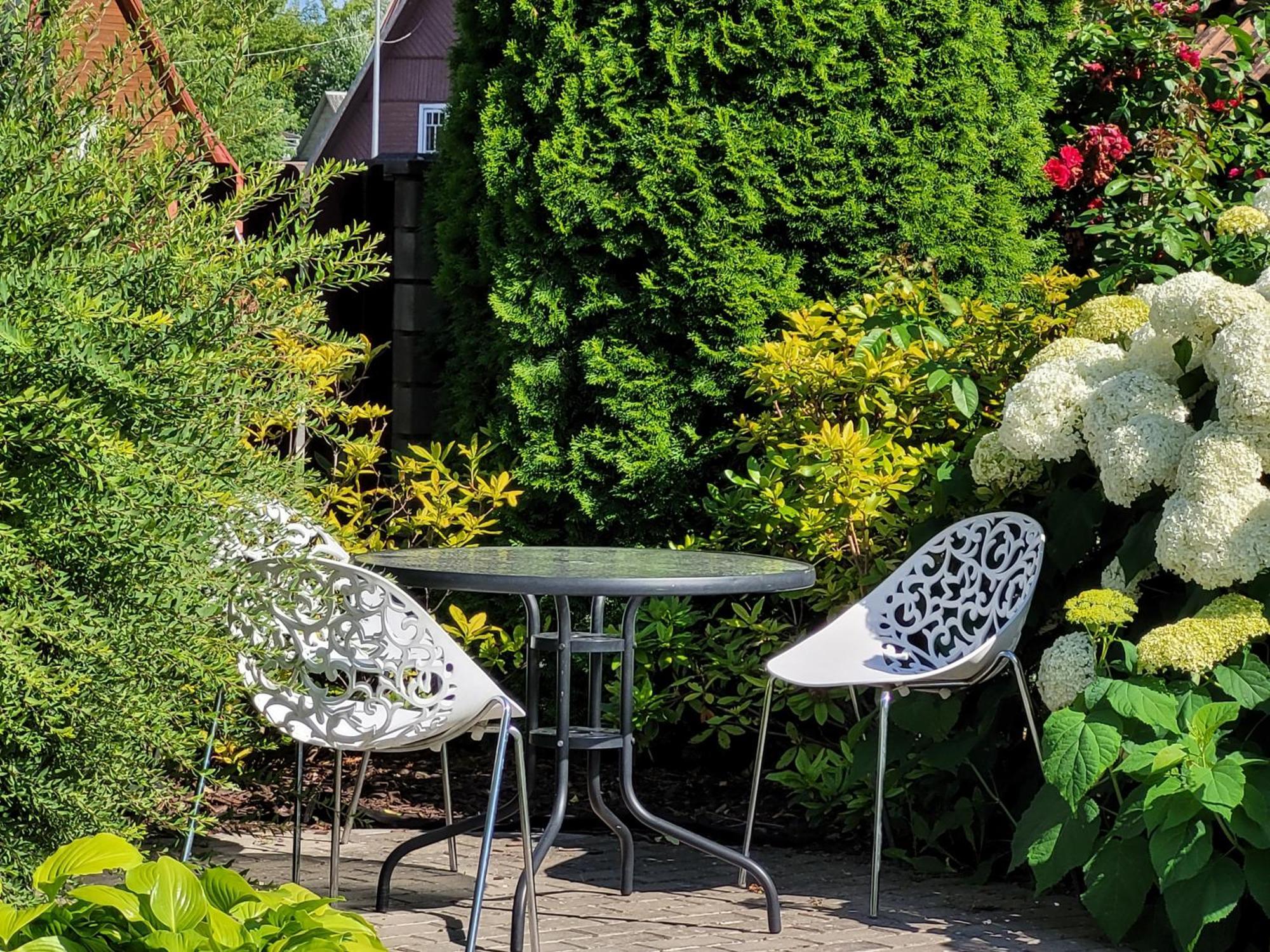 Chalet Villa Rex Druskininkai Dış mekan fotoğraf