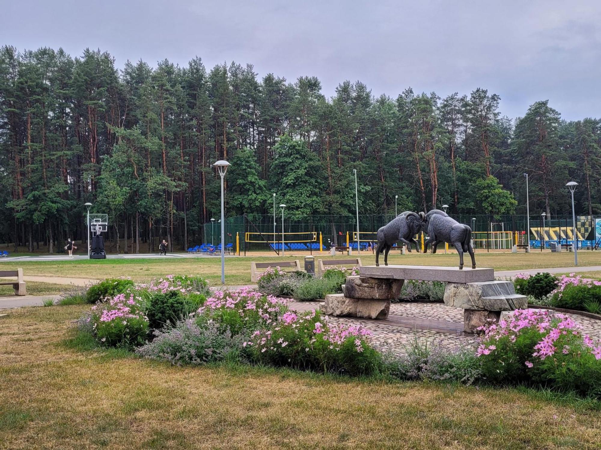 Chalet Villa Rex Druskininkai Dış mekan fotoğraf