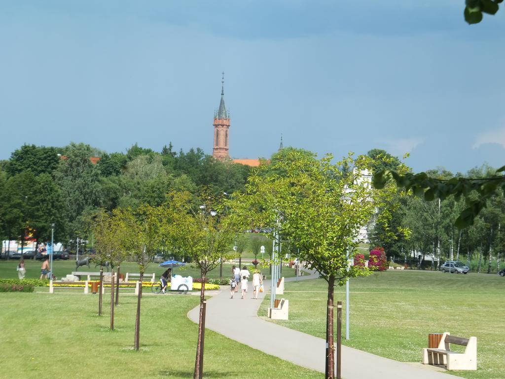 Chalet Villa Rex Druskininkai Dış mekan fotoğraf