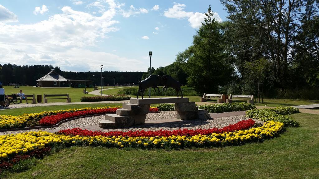 Chalet Villa Rex Druskininkai Dış mekan fotoğraf