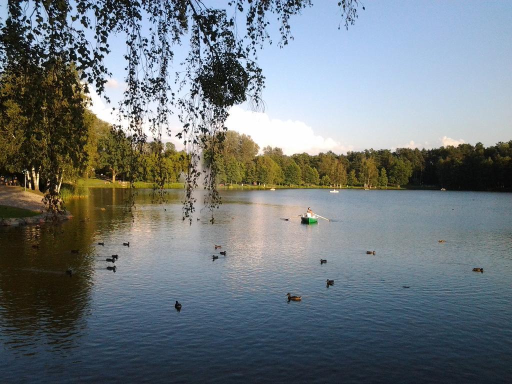 Chalet Villa Rex Druskininkai Dış mekan fotoğraf