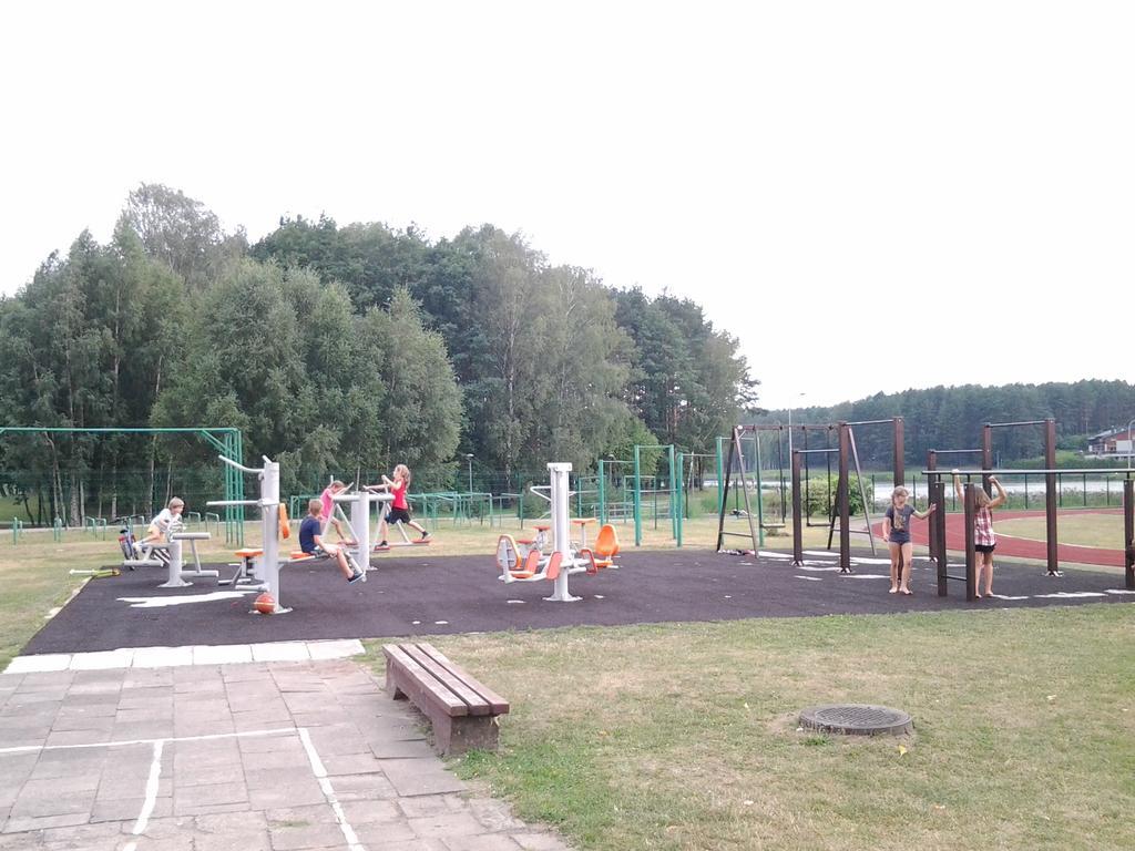 Chalet Villa Rex Druskininkai Dış mekan fotoğraf
