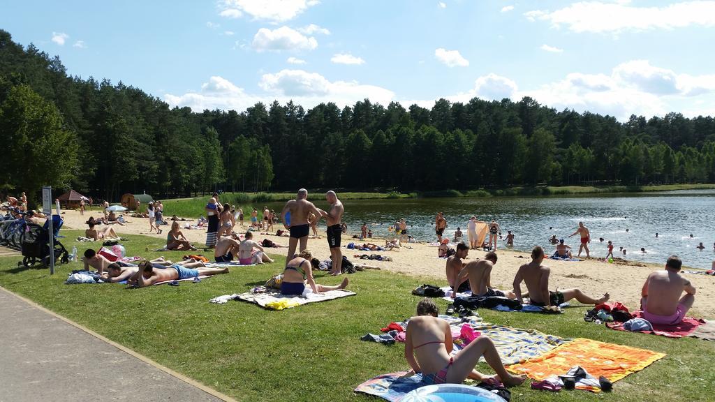 Chalet Villa Rex Druskininkai Dış mekan fotoğraf